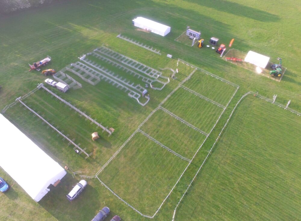 2018 DJI 0137